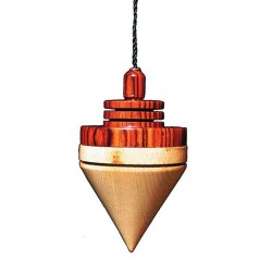 Pendule Bois EUREKA Sous Cloche