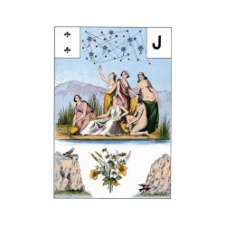 Tarot - Grand Jeu de Mlle LENORMAND 54 cartes + livret 