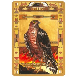 Oracle des Indiens d'Amérique (Native American Cards)