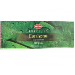 HEM Eukalyptus Weihrauch 20G